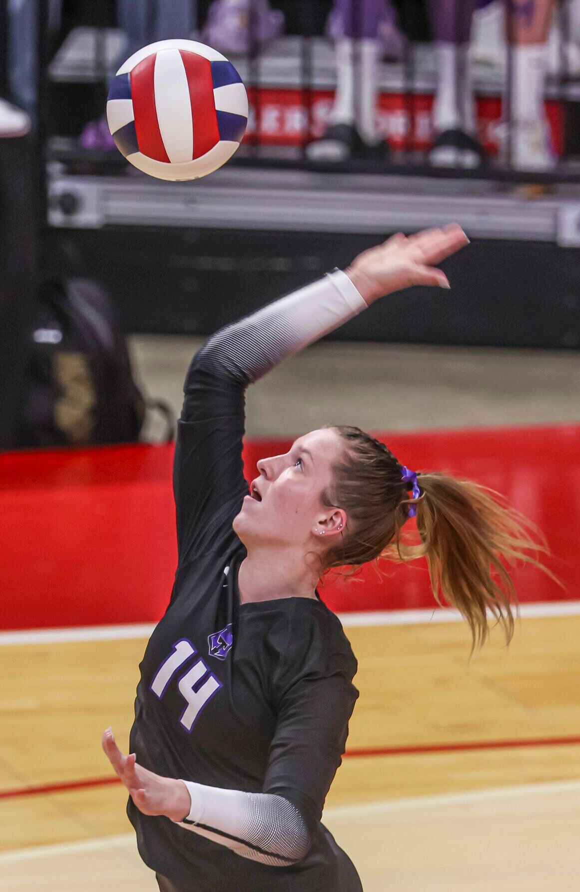 Addi Hale 1 111524.JPG